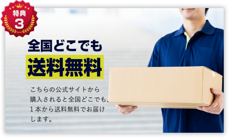 バブルス育毛剤の特典③：全国どこでも送料無料